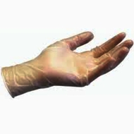 Vinyl Gloves