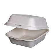 Bagasse Packaging