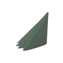 Tissue Napkin 2Ply Green (Case 2000)