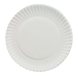 Bagasse Plate White 7" (Case 500)